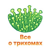 7-Vse o trihomah-100.jpg