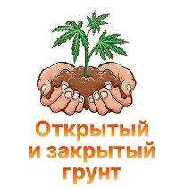 11-Otkrytyj i zakrytyj grunt-100.jpg