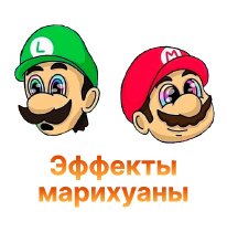 15-Effekty marihuany-100.jpg 15-Effekty marihuany-100.jpg