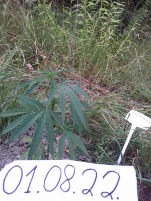 20160609_060132.jpg 20160609_060132.jpg