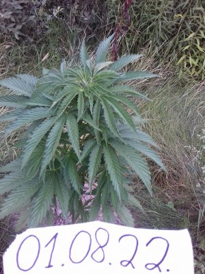 20160609_062319.jpg 20160609_062319.jpg