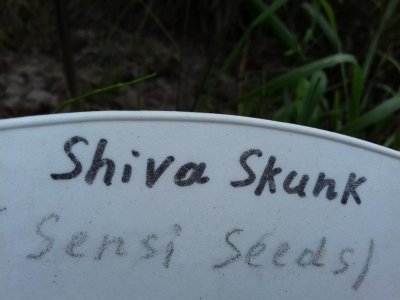 20160609_062329.jpg 20160609_062329.jpg