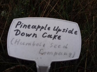 20160609_071406.jpg 20160609_071406.jpg