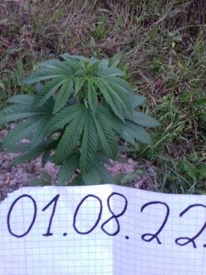 20160609_071520.jpg 20160609_071520.jpg