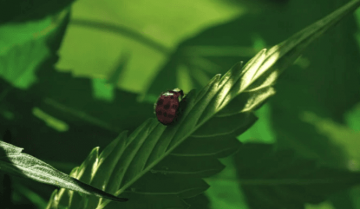 1660226959919.png 1660226959919.png