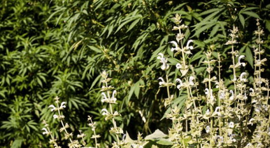 1660227029380.png 1660227029380.png