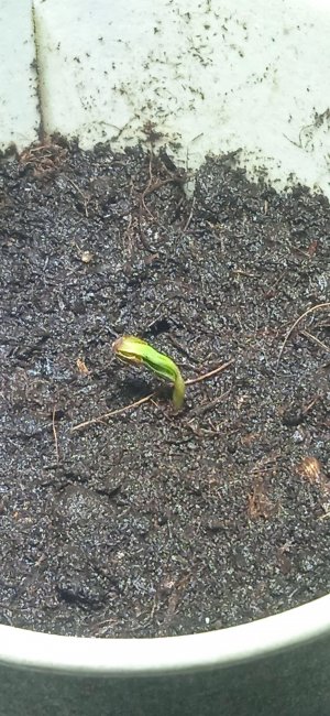 IMG_20220816_152413.jpg IMG_20220816_152413.jpg