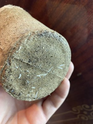 AABC445A-D086-4718-BA54-88AD4FAD9829.jpeg AABC445A-D086-4718-BA54-88AD4FAD9829.jpeg