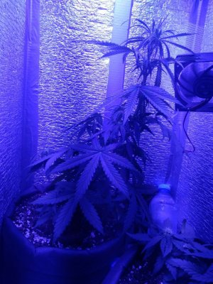 photo_2022-08-23_18-11-26 (2).jpg