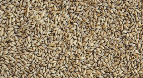 1661439140181.png 1661439140181.png