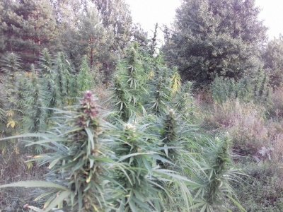 20220823_063604.jpg 20220823_063604.jpg