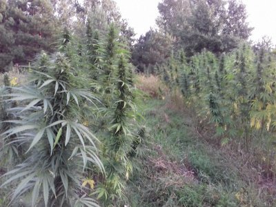 20220823_063034.jpg 20220823_063034.jpg