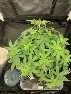 B90E9474-A7F7-4F47-8EFD-A2FC52E95DF4.jpeg B90E9474-A7F7-4F47-8EFD-A2FC52E95DF4.jpeg