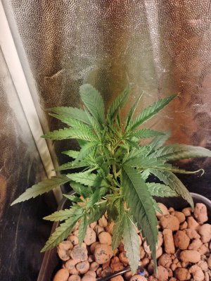 IMG_2022_08_31_23_02_14_6728793435386836709230.jpg IMG_2022_08_31_23_02_14_6728793435386836709230.jpg