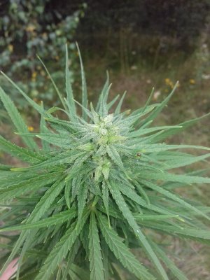 20150104_205358.jpg 20150104_205358.jpg