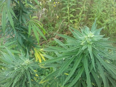 20150104_205837.jpg 20150104_205837.jpg