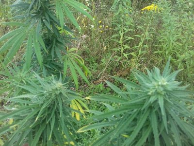 20150104_205949.jpg 20150104_205949.jpg