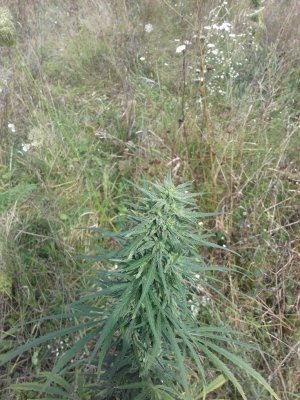 20150104_211615.jpg 20150104_211615.jpg