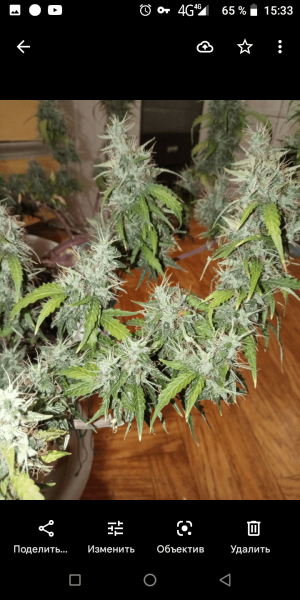 Screenshot_20220906-153319.png Screenshot_20220906-153319.png