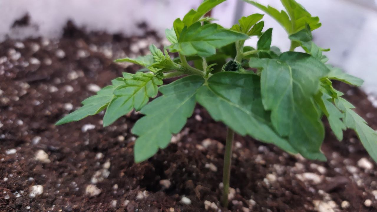 14 день 1.jpg 14 день 1.jpg