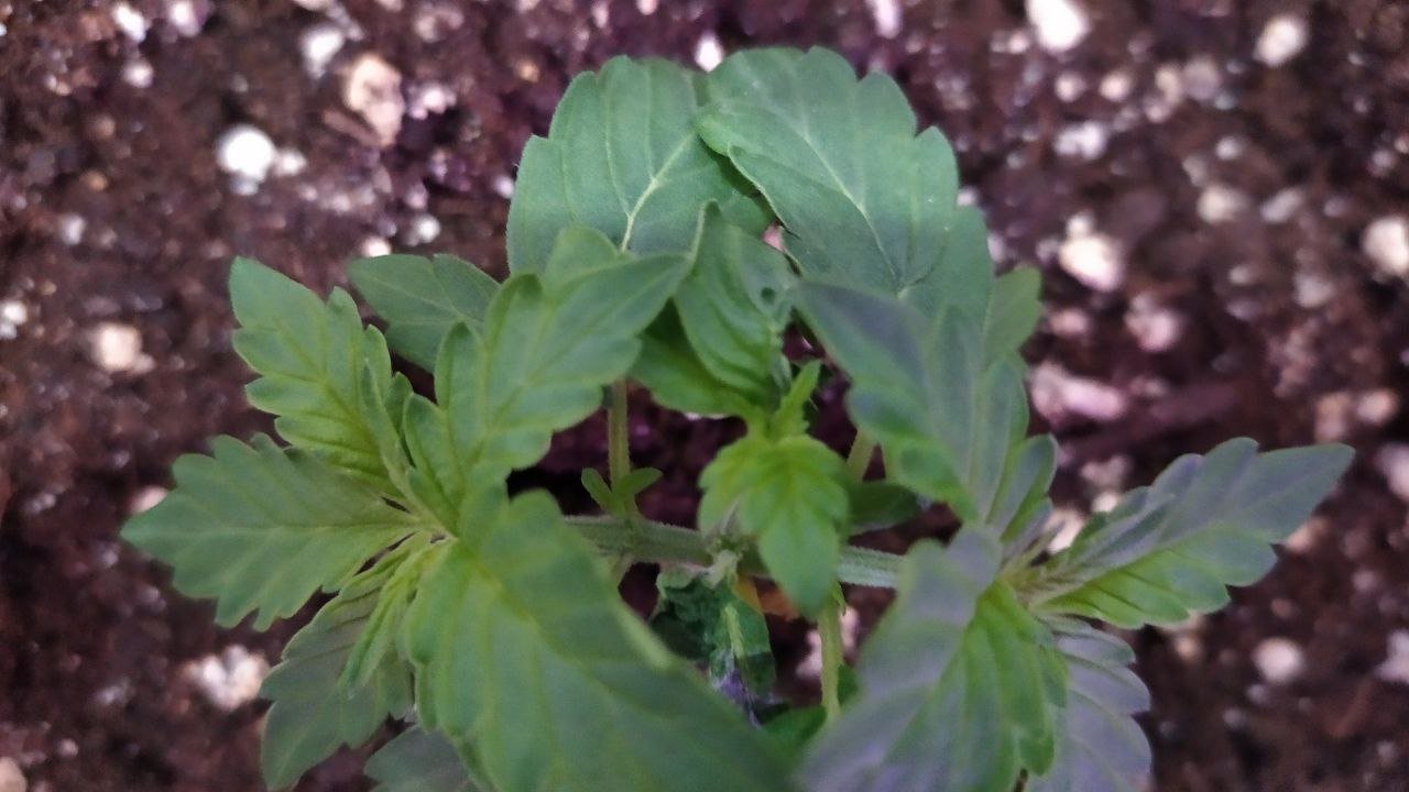 14 день.jpg 14 день.jpg