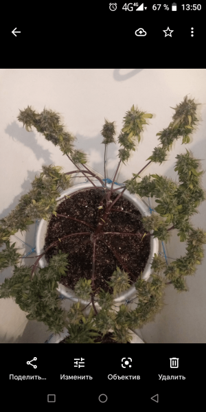 Screenshot_20220911-135055.png Screenshot_20220911-135055.png