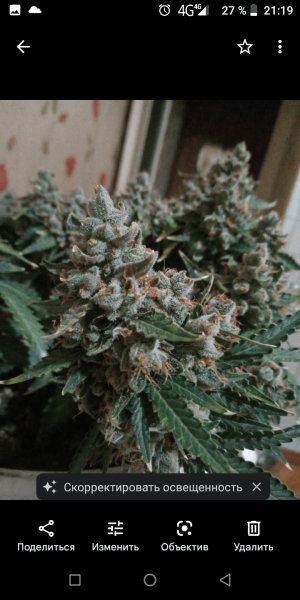 Screenshot_20220919-211904.png Screenshot_20220919-211904.png