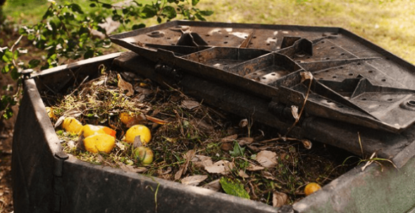 1663836317349.png 1663836317349.png