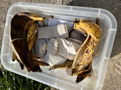 AA6D4199-B8C6-46E6-A17F-5C5AD6A60DA5.jpeg AA6D4199-B8C6-46E6-A17F-5C5AD6A60DA5.jpeg