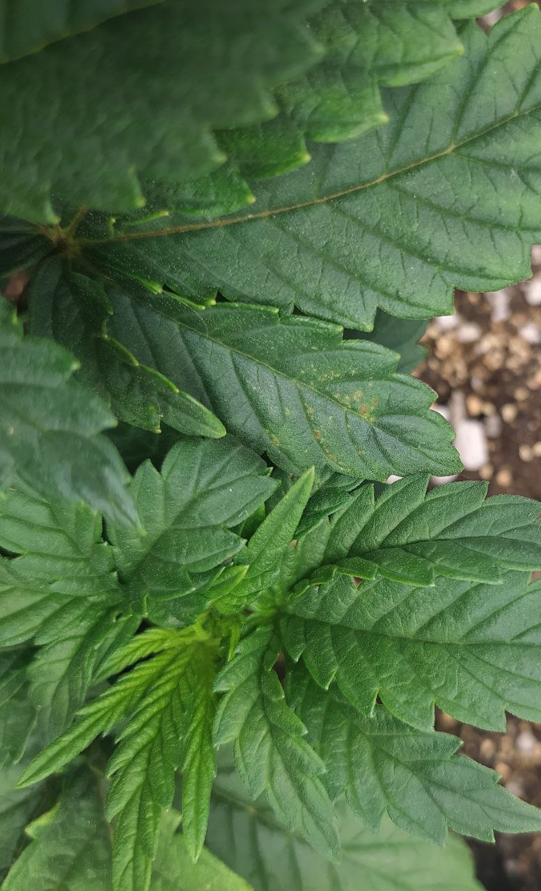 3 — копия.jpg 3 — копия.jpg