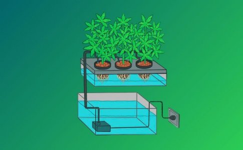 Плюсы использования ирригационной системы