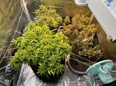 D3D89030-1070-4E62-B3EA-C44319FE4C8D.jpeg D3D89030-1070-4E62-B3EA-C44319FE4C8D.jpeg