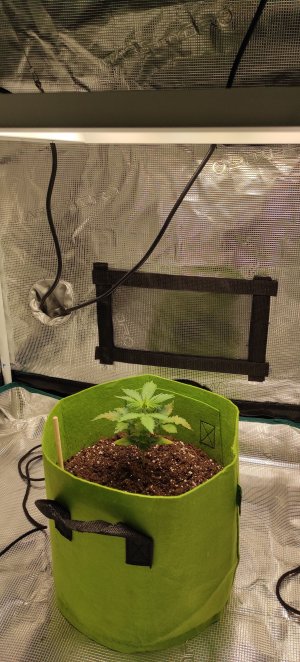 IMG_20220929_140148.jpg IMG_20220929_140148.jpg