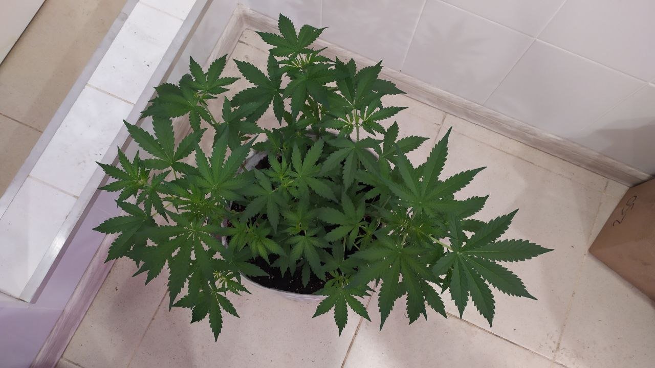 photo_2022-09-30_09-03-52.jpg photo_2022-09-30_09-03-52.jpg