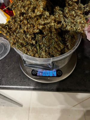 2D664A26-A56A-4432-8DDE-84280443F83A.jpeg 2D664A26-A56A-4432-8DDE-84280443F83A.jpeg