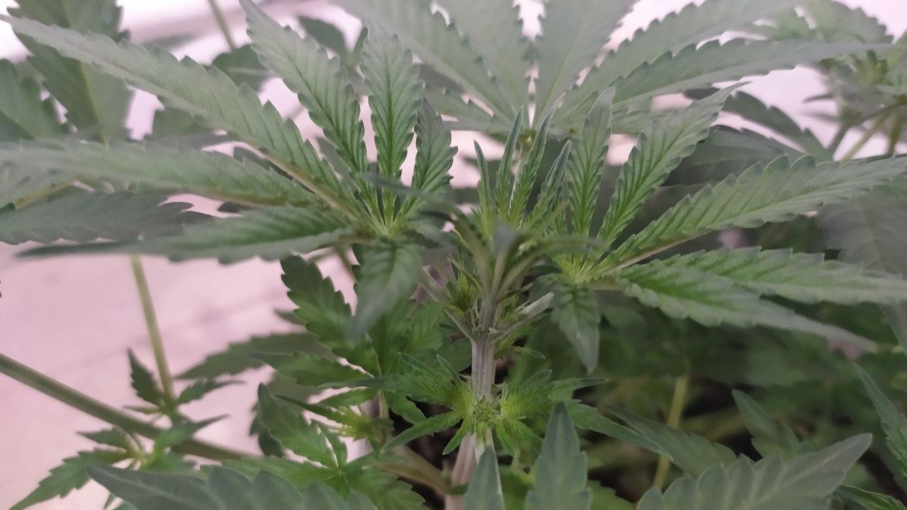 photo_2022-10-01_15-55-53.jpg photo_2022-10-01_15-55-53.jpg