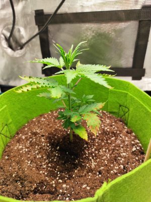 IMG_20221001_214134.jpg IMG_20221001_214134.jpg