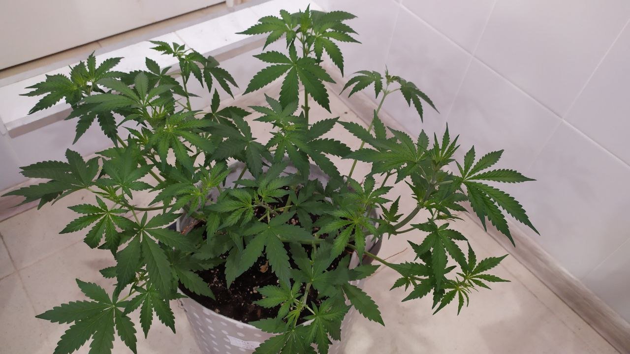 photo_2022-10-02_12-06-13.jpg photo_2022-10-02_12-06-13.jpg