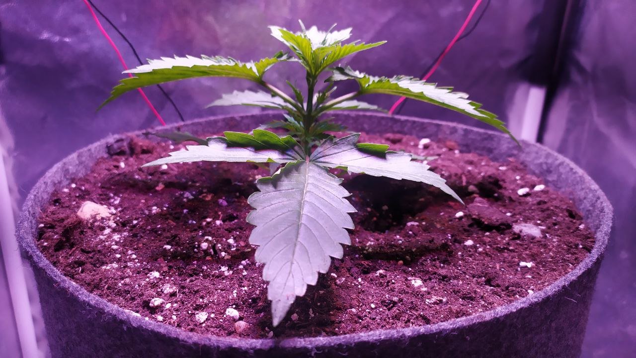 photo_2022-10-04_10-09-05 (2).jpg photo_2022-10-04_10-09-05 (2).jpg