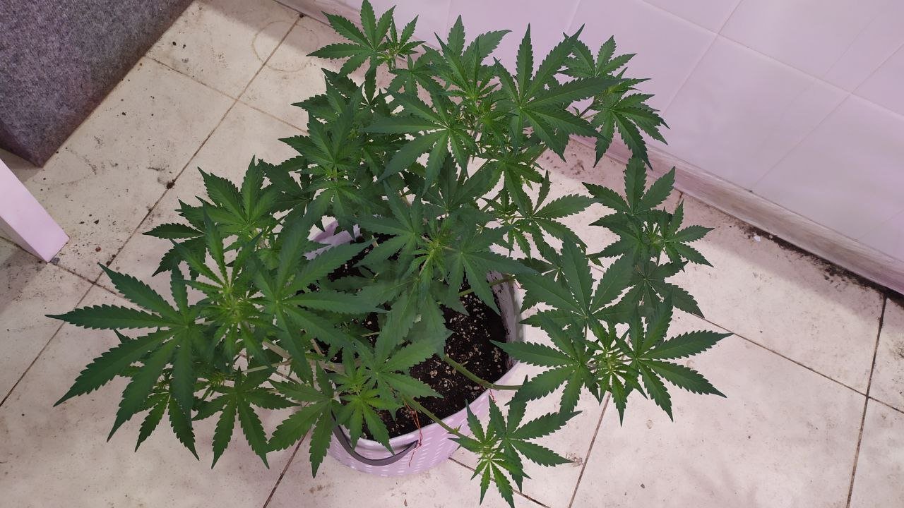 photo_2022-10-04_10-08-26.jpg photo_2022-10-04_10-08-26.jpg