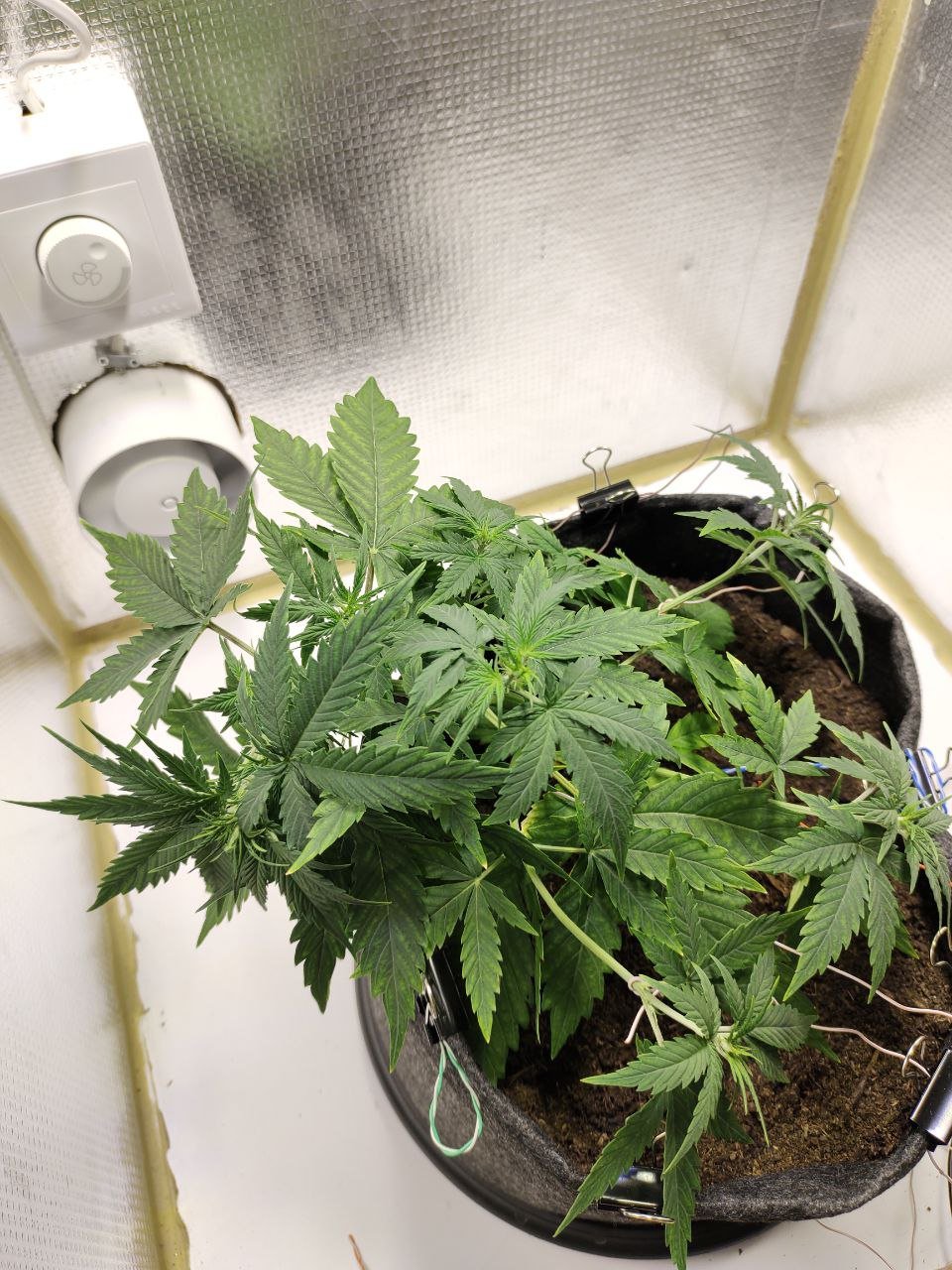 30.09-2.jpg 30.09-2.jpg