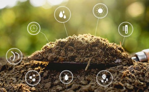 Что такое гуминовая и фульвовая кислоты? Что такое гуминовая и фульвовая кислоты?