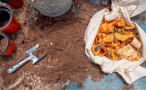 Кофейная гуща и компост для конопли Кофейная гуща и компост для конопли