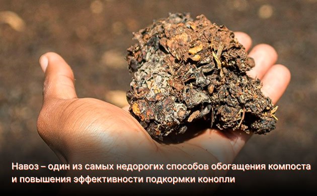 Навоз и органическое выращивание конопли