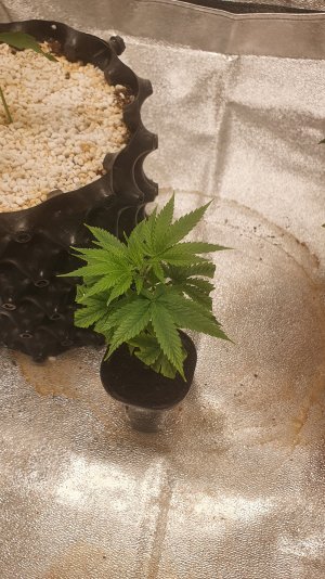 20220915_221022.jpg 20220915_221022.jpg