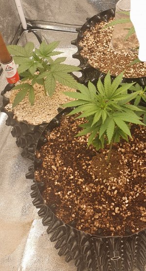 20220919_081527.jpg 20220919_081527.jpg