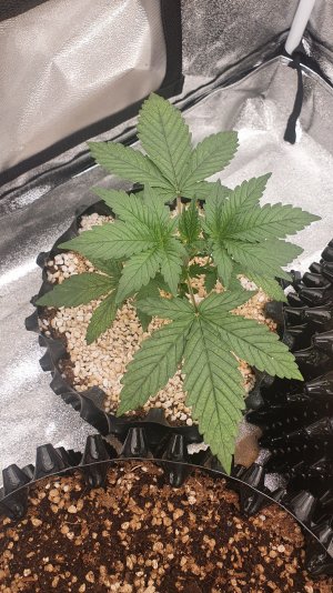 20220919_081538.jpg 20220919_081538.jpg