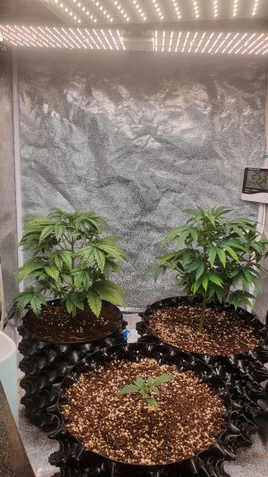 20220929_213957.jpg 20220929_213957.jpg