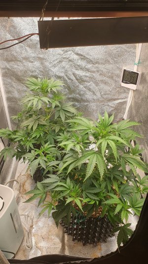 20221007_074331.jpg 20221007_074331.jpg