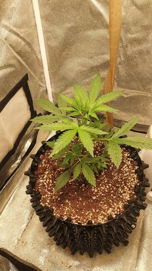 20221010_073525.jpg 20221010_073525.jpg